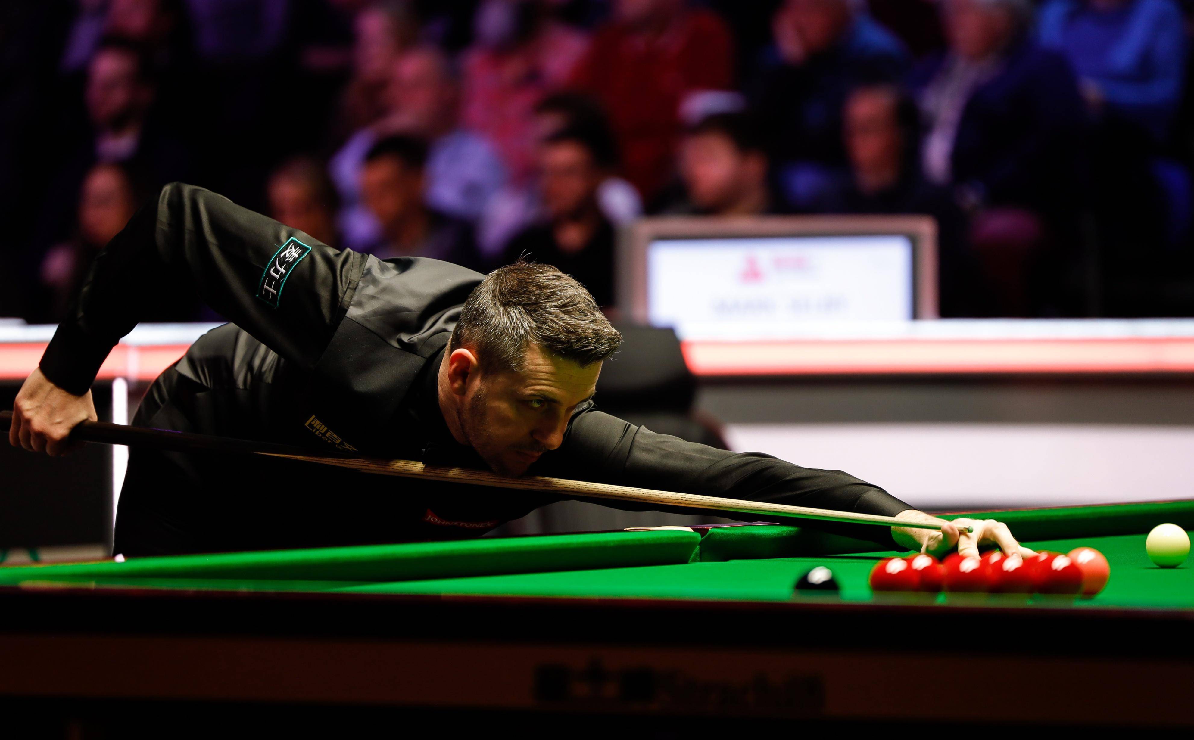 的真实写照 的真实写照