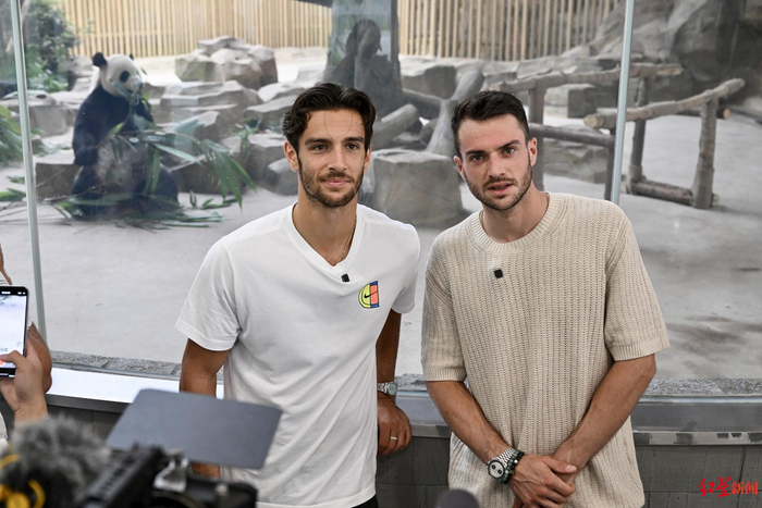 也让所有球 也让所有球