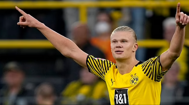 只是向联盟 只是向联盟